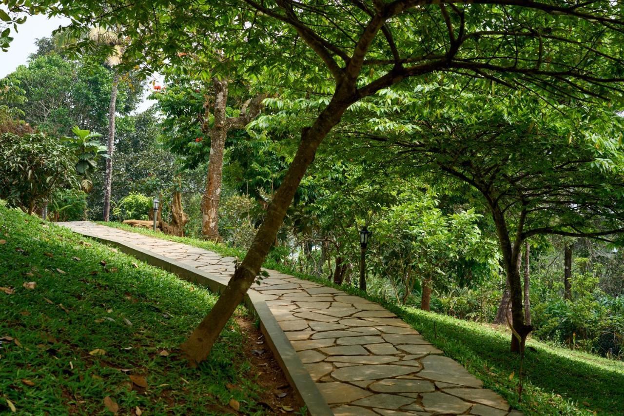 Haze And Kites Resort מונאר מראה חיצוני תמונה